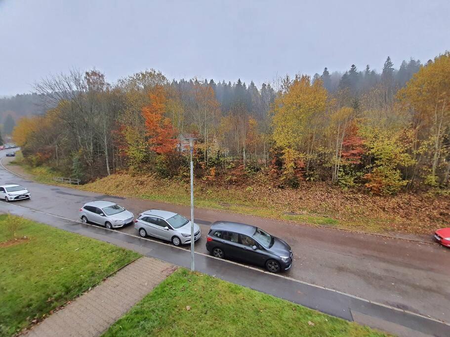 Two-Bedroom Apartment Near Triberg Waterfall Triberg im Schwarzwald Bagian luar foto