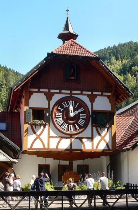 Two-Bedroom Apartment Near Triberg Waterfall Triberg im Schwarzwald Bagian luar foto
