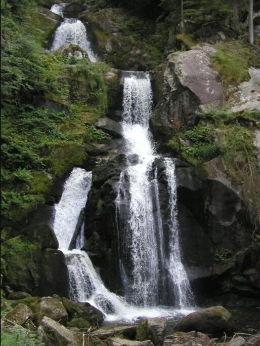 Two-Bedroom Apartment Near Triberg Waterfall Triberg im Schwarzwald Bagian luar foto